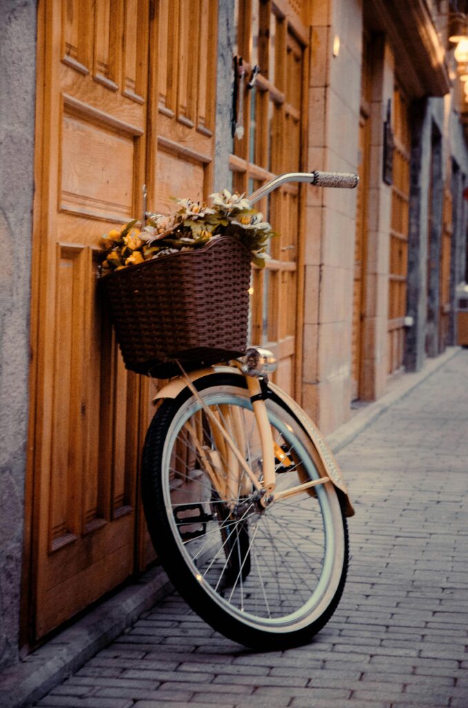 A charming vintage bicycle with a flower-filled basket rests against ornate wooden doors on a cobblestone street.